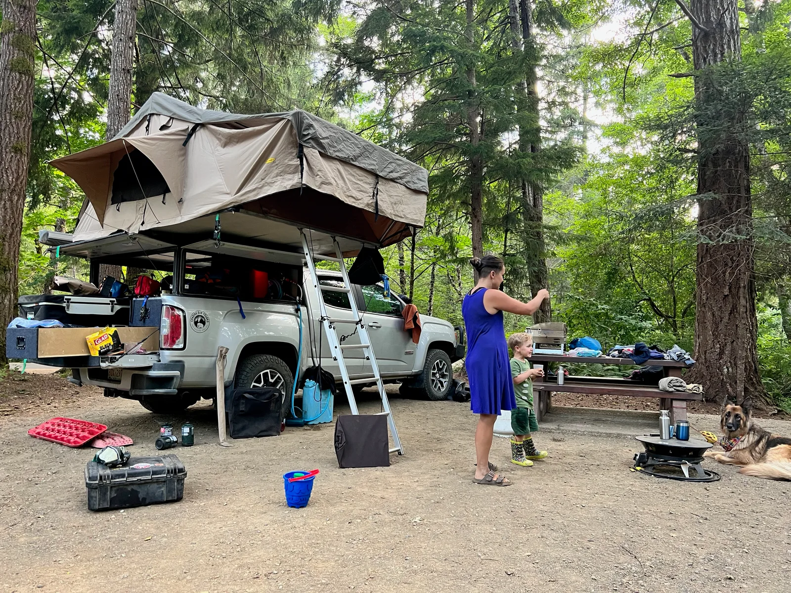 A family camp in the forest: a pickup truck with a rooftop tent, a woman and a small child at a picnic table, and a German shepherd lying nearby.