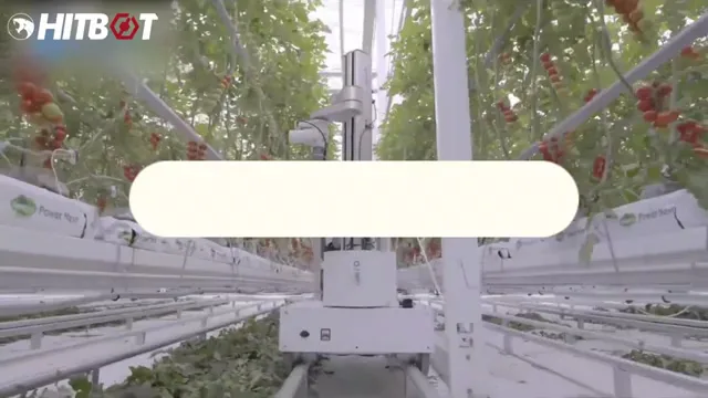 A still from a HitBot video showing a robotic arm working between long rows of tomato vines in a greenhouse.